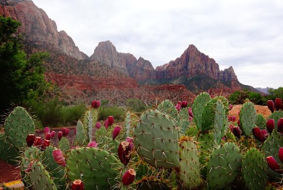 16 Overrated National Parks And The Better Alternatives Nearby - NewsBreak