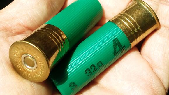 Choosing home defense shotgun ammo: buckshot vs birdshot - NewsBreak