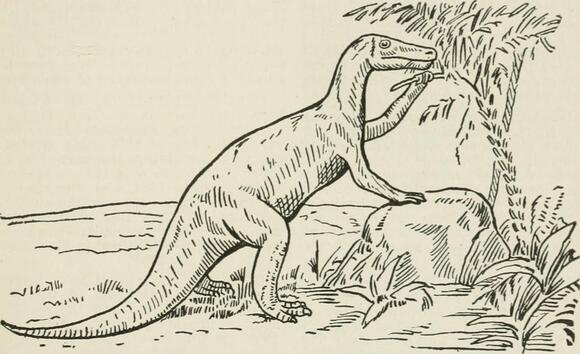 Halszkaraptor: The Semi-Aquatic Dino With a Swan Neck and Raptor Feet ...