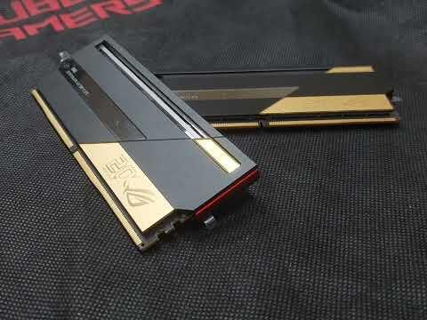 ASUS Officially Launches Its First-Ever ROG Branded RAM: 48GB of Memory ...