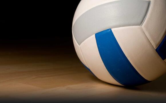 PREP VOLLEYBALL: Addison goes 2-1 at Muscle Shoals; Holly Pond faces ...