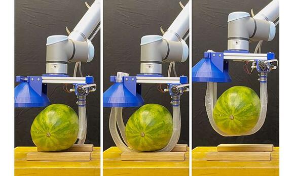 Vine-inspired robotic gripper gently lifts heavy and fragile objects ...
