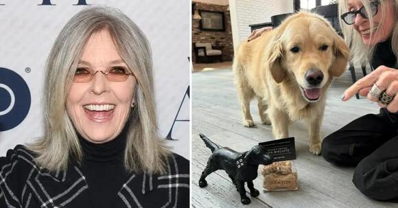 Diane Keaton Left $5 Million of Her Estate to Beloved Dog Reggie, Source  Reveals After Actress' Sudden Death: 'He Was Her World' - NewsBreak