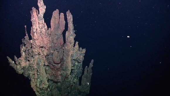 Deep Ocean Vents Support Life Unlike Anything On Land - NewsBreak