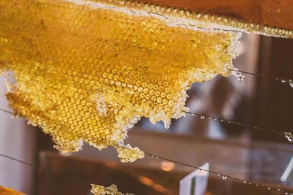 📅 Learn Maple Syrup & Beekeeping Basics in a 2‑Hour Webinar - NewsBreak