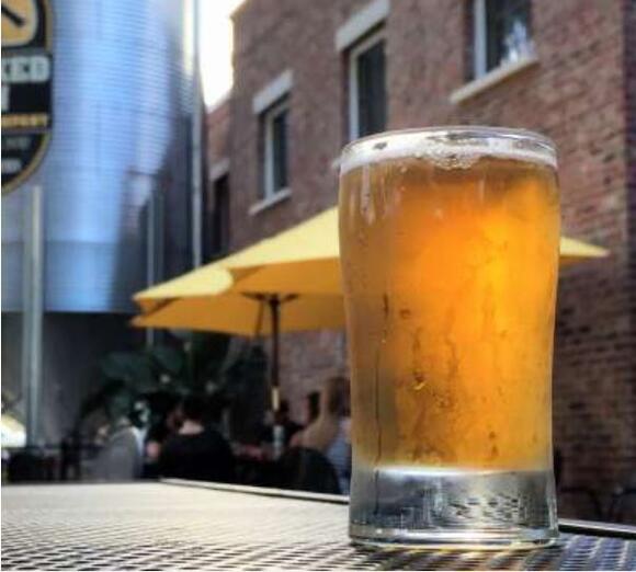 Bipartisan brewing Florida men Bean and Moskowitz craft a beer