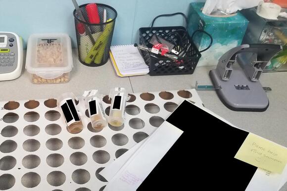 A Drug Testing Company Favored Speed Over Reliability, Some Ex ...