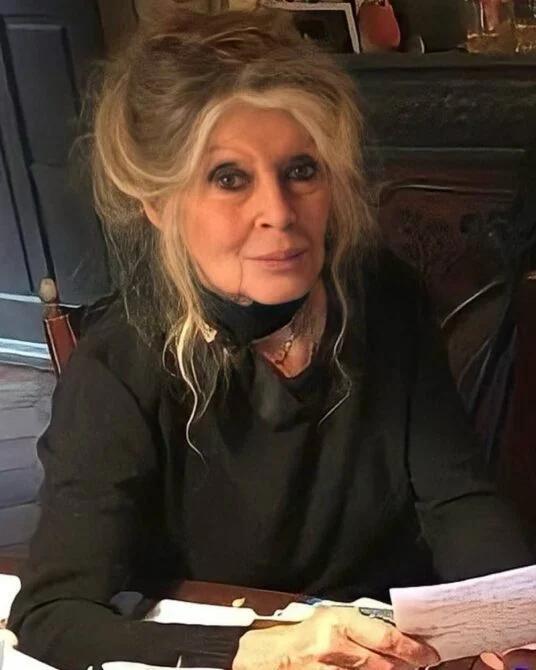 Brigitte Bardot’s Final Public Appearance - NewsBreak