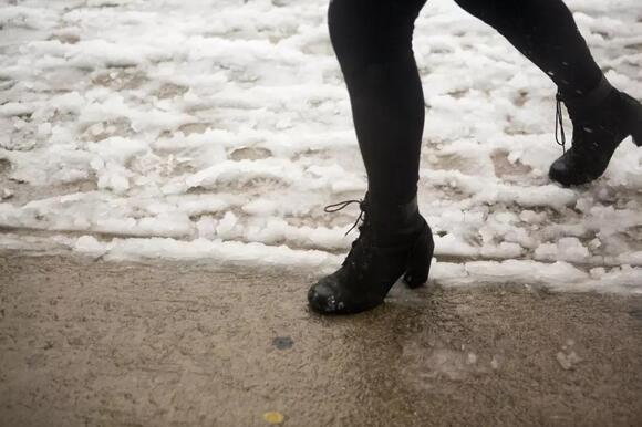 Snow Totals - How Much Snow Fell in NJ & PA on January 26, 2026 - NewsBreak