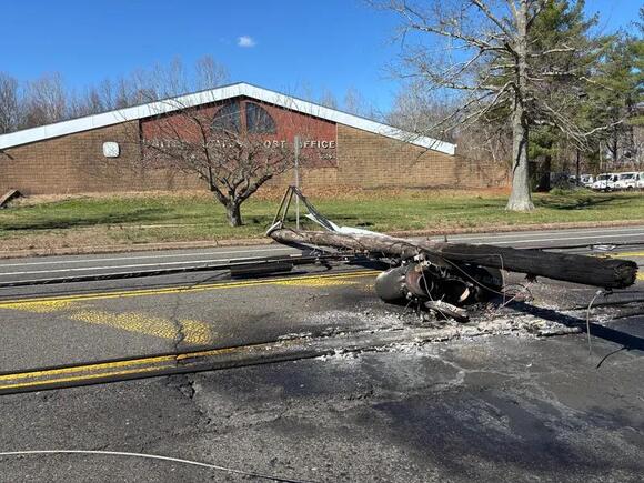 Overnight storms knock down trees and power lines throughout region ...