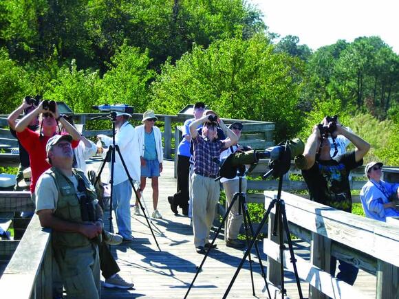 The Ultimate Beginner’s Guide to Birdwatching in 2025 - NewsBreak