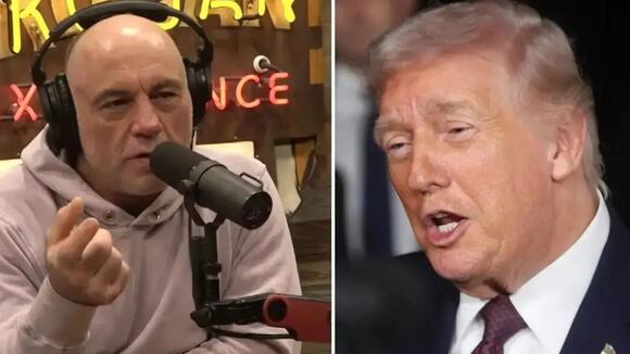 Joe Rogan and Donald Trump Shake Hands at UFC Fight After Podcast Host ...