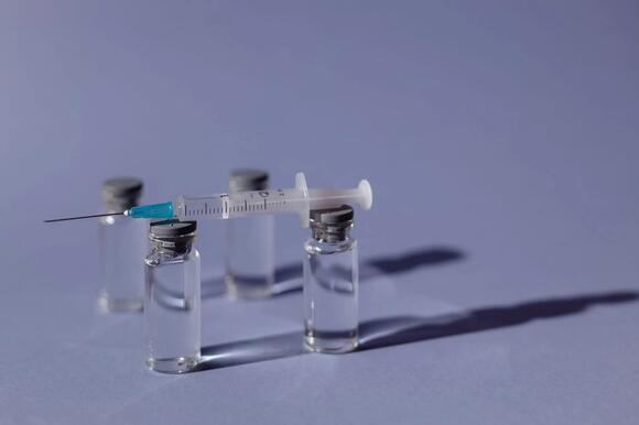 Rabies Vaccine Requirements in Wyoming: What Pet Owners Need to Know ...