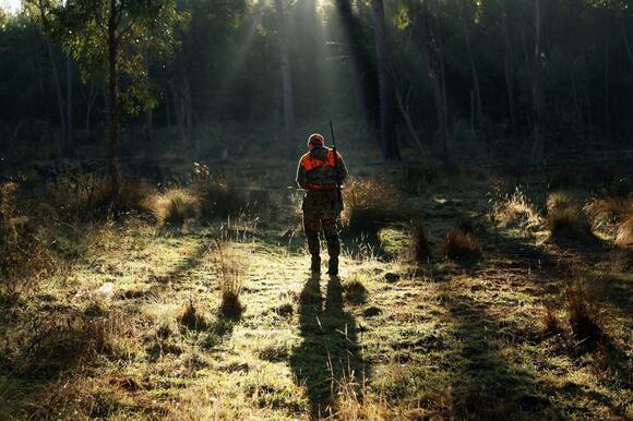 Michigan’s First Deer Harvest Numbers of 2026 Are In - NewsBreak