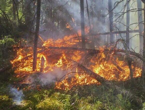 Red Flag Alert: Dangerous Fire Conditions Set To Sweep Across South And ...