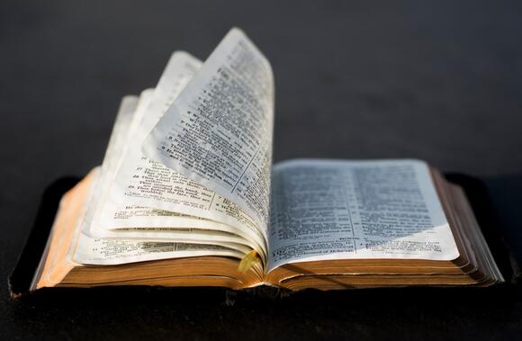 The Bible Has 31,102 Verses, But The Exact Center Verse Contains a ...