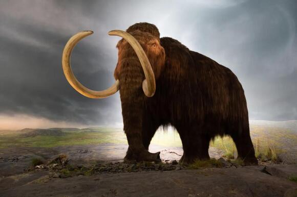 The Mysterious Migration Patterns of Prehistoric Mammals: A Journey ...