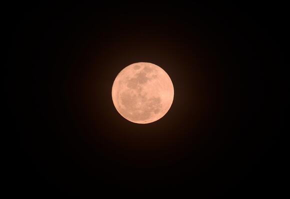 Catch The Full Pink Moon: A Guide To Spring's First Lunar Event - NewsBreak
