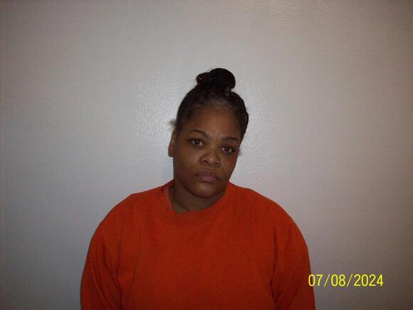 Canton woman pleads guilty to charges in 2-year-old’s death - NewsBreak