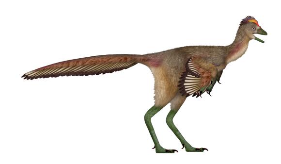5 Dinosaur Species Discovered in the Last Decade That Are Stranger Than ...