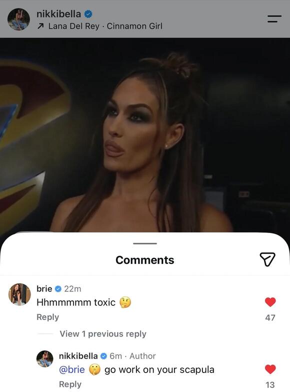 Wrestler Nikki Bella fires back at sister Brie Bella over 'toxic ...