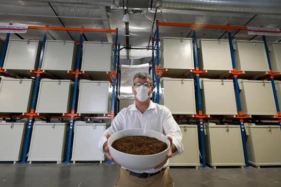 Maine just legalized composting human remains. What’s next? - NewsBreak