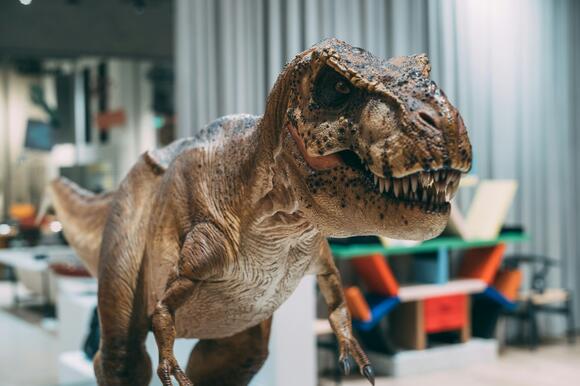 The T. Rex Named Sue The Legal Battle That Shook Paleontology - NewsBreak