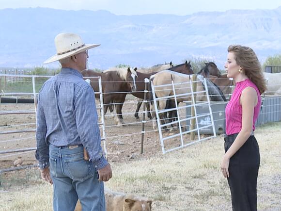 Rancher opens his gates to neighbors and livestock during Cody Fire ...
