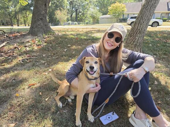 🐶 Charming Adoptable Dogs Waiting for Families in Glastonbury - NewsBreak