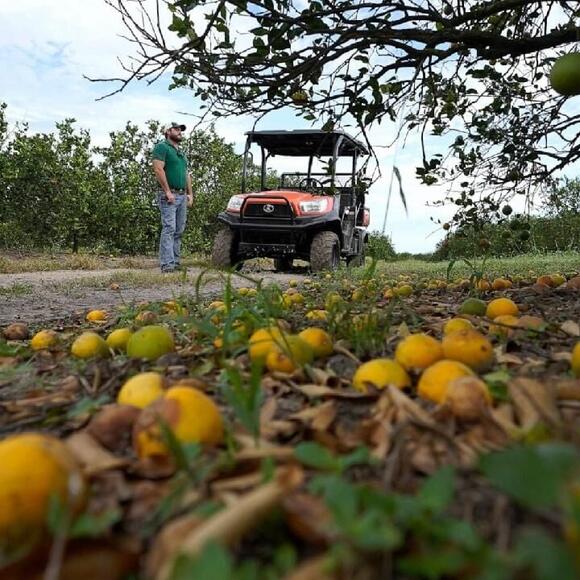 Grower sees ‘minimal’ tree damage, but fruit drop