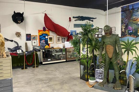 Bangor Welcomes The World's Largest Cryptozoology Museum With Rare ...