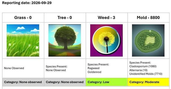 Daily pollen and spore counts available online - NewsBreak