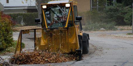 ⚠️ Skokie fall leaf & yard waste rules and key dates - NewsBreak