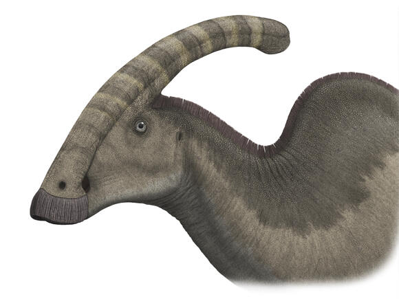 Prehistoric Love Songs? The Weird Ways Dinosaurs Might Have Courted ...