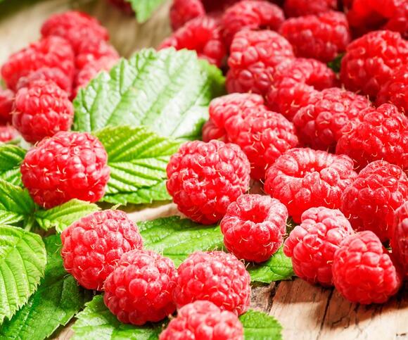 8 Tasty Types of Raspberries You Can Harvest All Season – Mix and Match ...