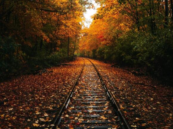 Rail Bikes Offer New York Fall Colors From Adirondacks To Catskills ...