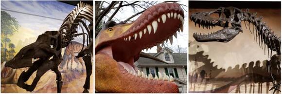 Separate Drive Thru Dinosaur Exhibits Roaring In Suffolk Nassau News Break