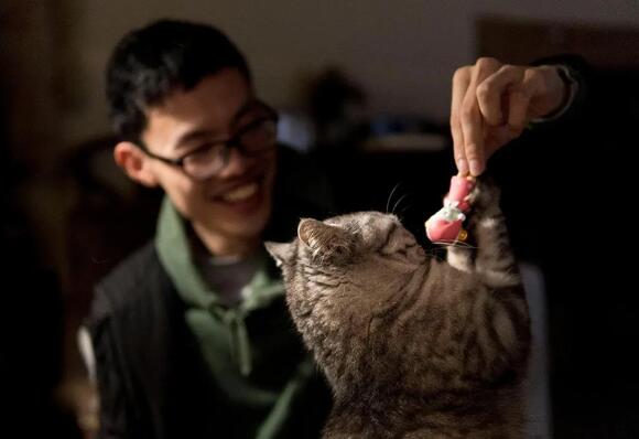 8 Simple Routines That Make Your Cat Feel Safe and Loved - NewsBreak