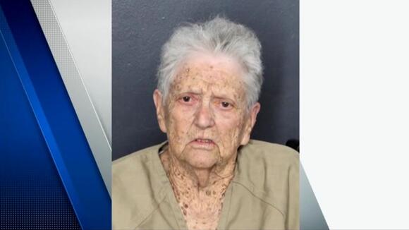 A 91-year-old woman is facing a hate crime charge for firing a BB gun ...