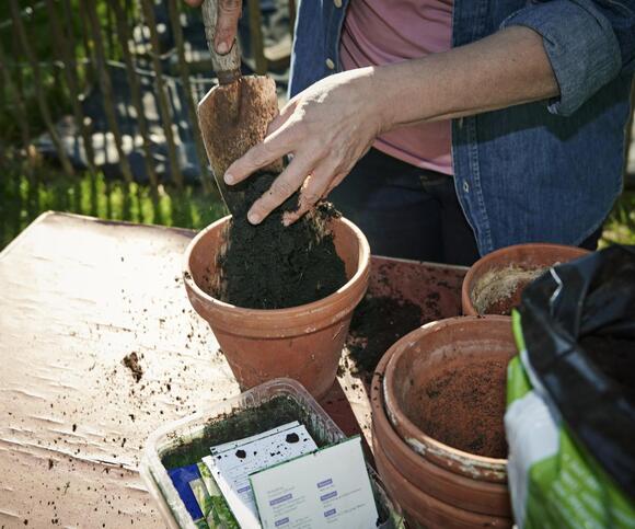 Can potting soil catch fire? As temperatures rise, there are fire risks ...