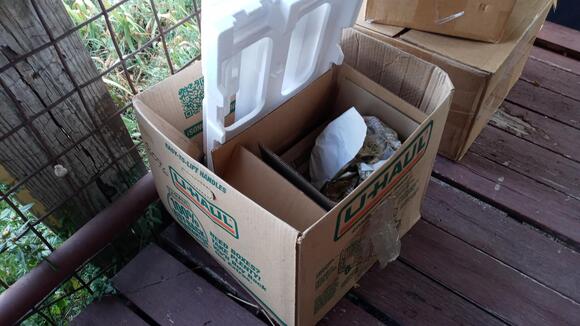 🎁 Community Freebies in Leander — From Furniture to Garden Rock - NewsBreak