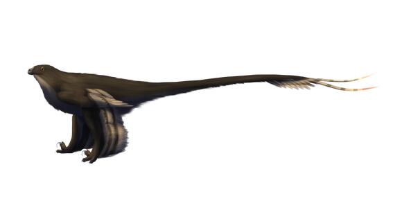 The Fastest Raptor Dinosaur – How Fast Could It Run? - NewsBreak