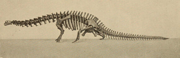 7 Times Dinosaur Bones Turned Out to Be Fakes - NewsBreak