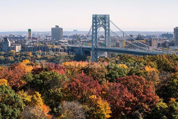 Driver is fatally shot while crossing the George Washington Bridge ...