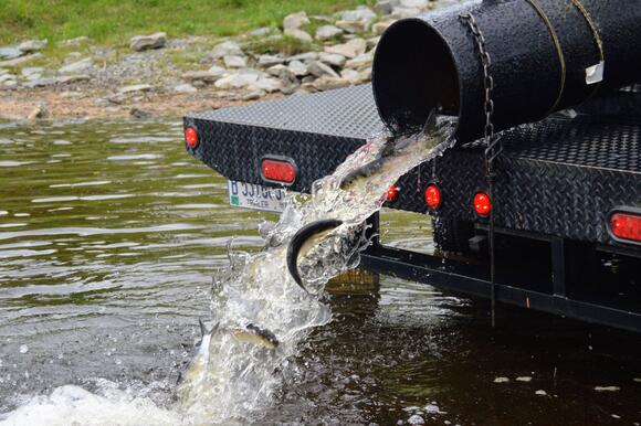 Maine sewage sludge crisis is ‘still under a clock’ even if landfill ...