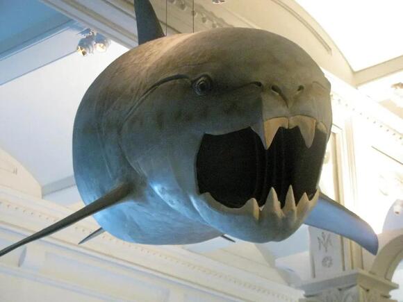 These 8 Prehistoric Animals Developed Bizarre Defenses Against Giants ...