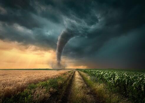 Illinois Leads The Nation In Tornado Counts For 2026 With 50 To 60 ...