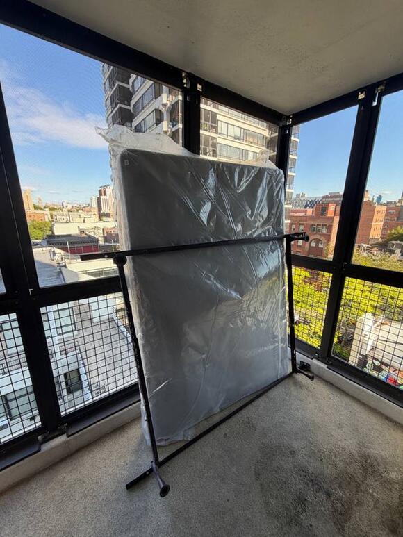 🎁 Freebies Up for Grabs in New York — Furniture, Plants & More - NewsBreak