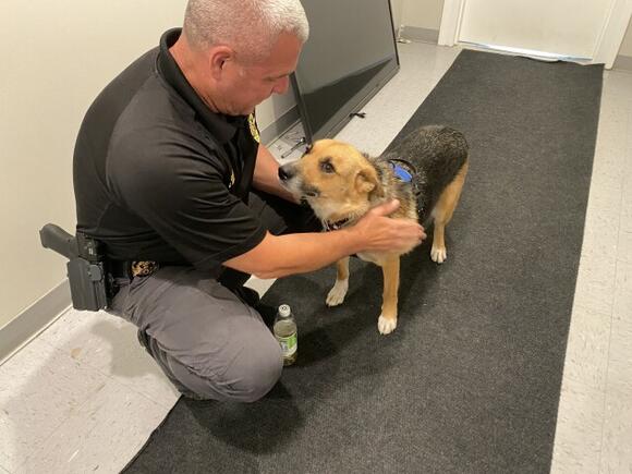 Meet Luna: The new foster dog at the Lawrenceburg Police Department ...
