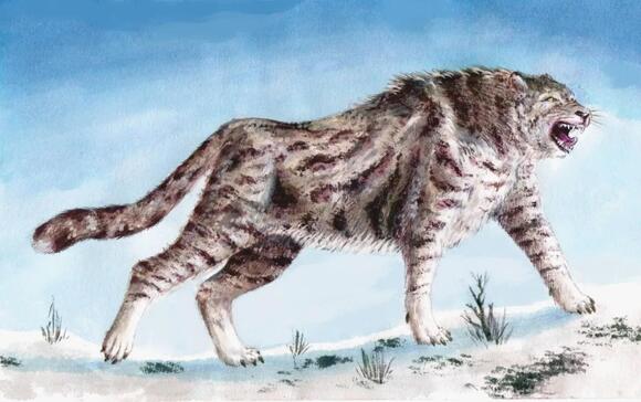 7 Incredible Prehistoric Predators That Hunted Across Ancient America ...